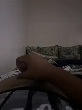 moulch webcam