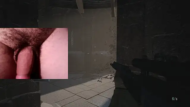 WARDOX5 webcam