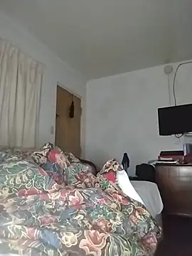 THEBEDroomdoOR webcam