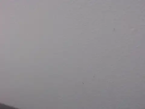 Adriana_0312 webcam