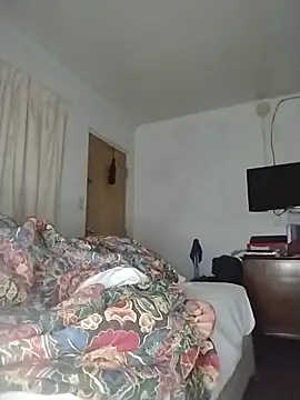 THEBEDroomdoOR webcam
