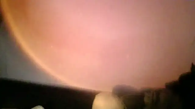 Virtual_nekoo webcam