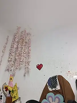 Kuutar webcam