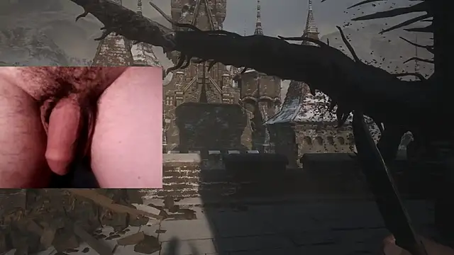 WARDOX5 webcam