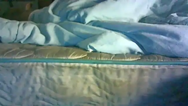 CR3M3_FIR3 webcam
