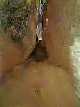Icepappi webcam