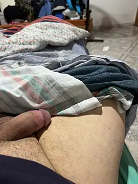 venteveo1 webcam
