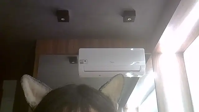 SkinnyKitten webcam
