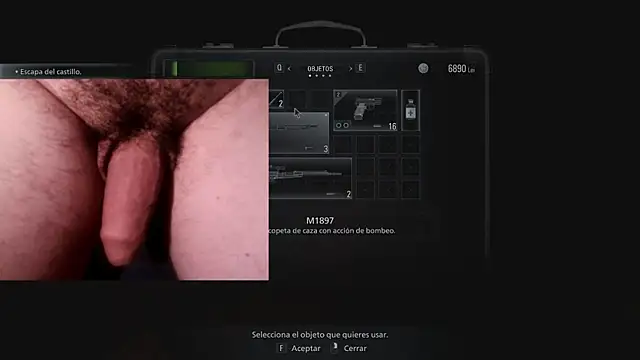 WARDOX5 webcam