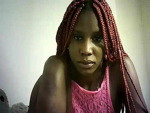 DelteAfriq webcam