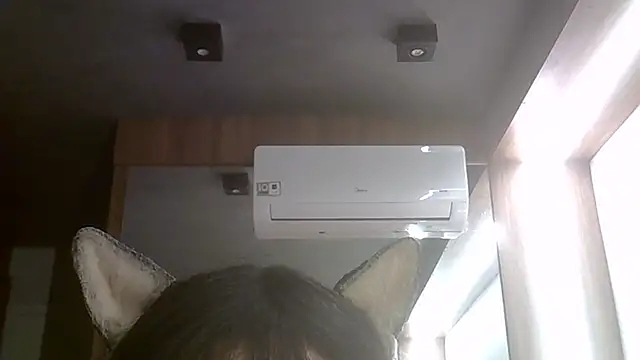 SkinnyKitten webcam