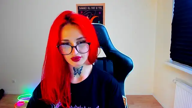 your_tora webcam
