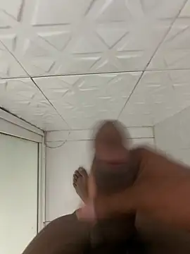 Dom0021 webcam