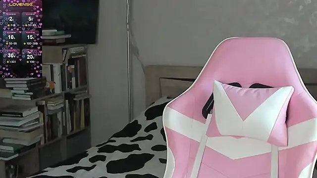 bbJ_one webcam