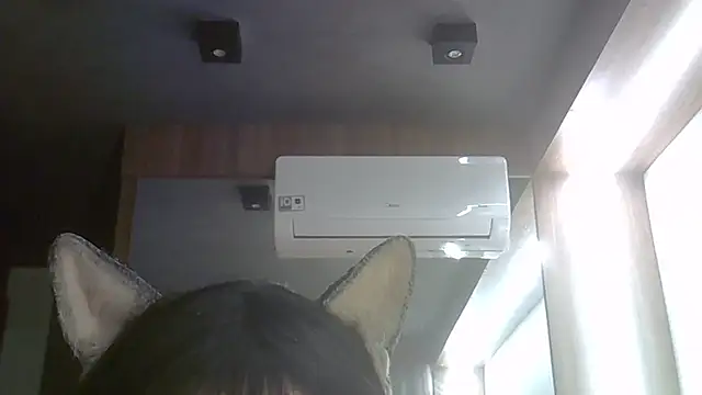 SkinnyKitten live cam
