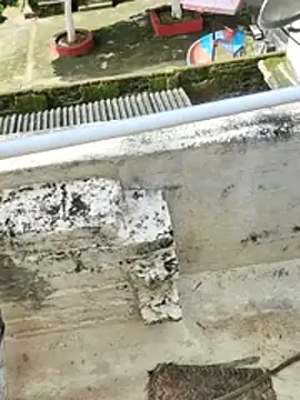 jalimmard69 webcam