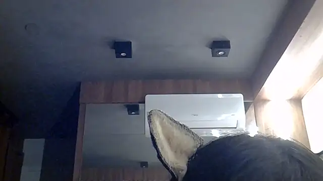 SkinnyKitten live cam