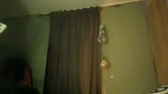 Virtual_nekoo webcam