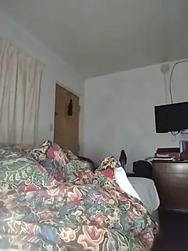 THEBEDroomdoOR webcam