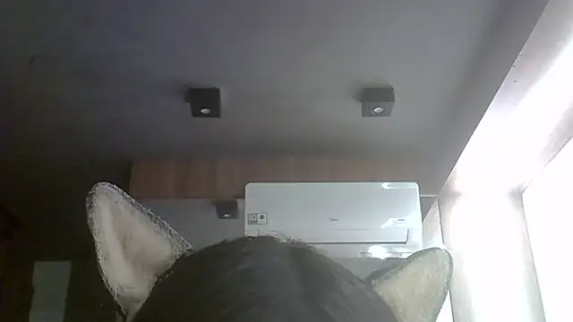SkinnyKitten webcam