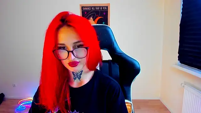 your_tora webcam
