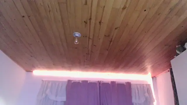Emilyswan04 webcam