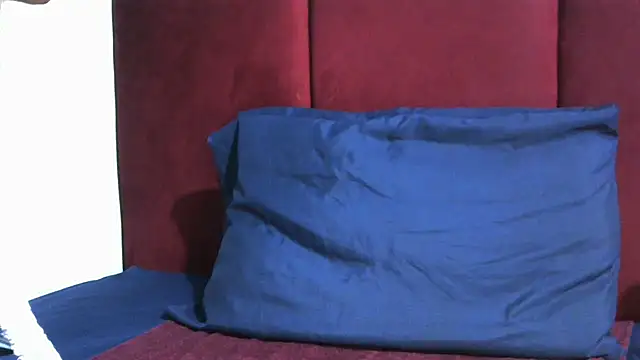 Mel90x webcam