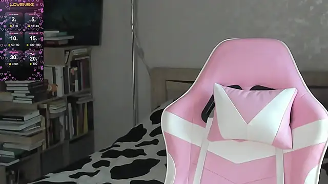 bbJ_one webcam