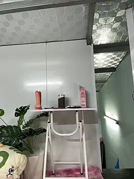 Nana-19 webcam