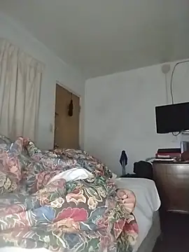 THEBEDroomdoOR webcam