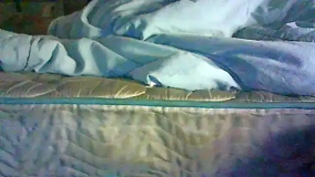 CR3M3_FIR3 webcam