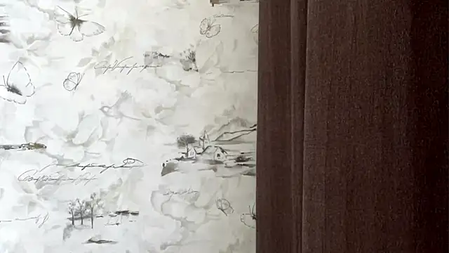 ManiacProffer webcam