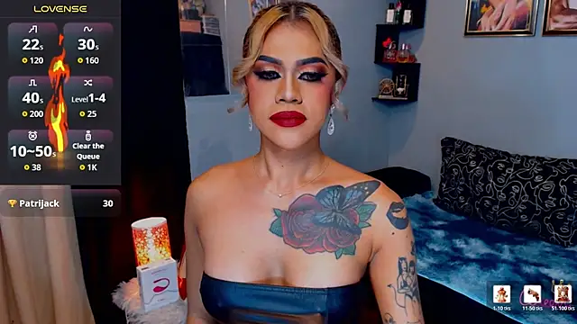 StellaStrong30 webcam