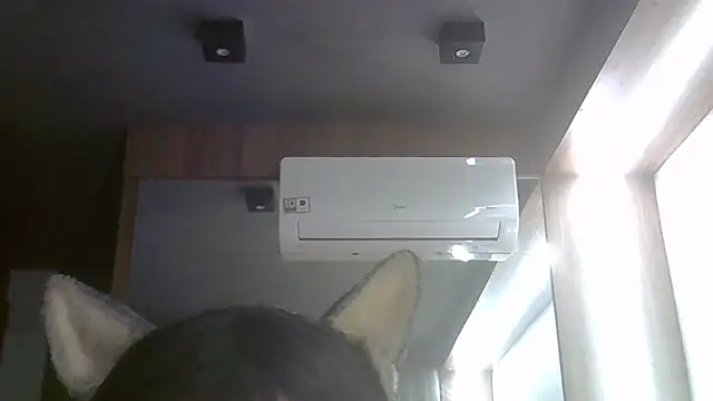 SkinnyKitten webcam