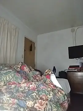 THEBEDroomdoOR webcam
