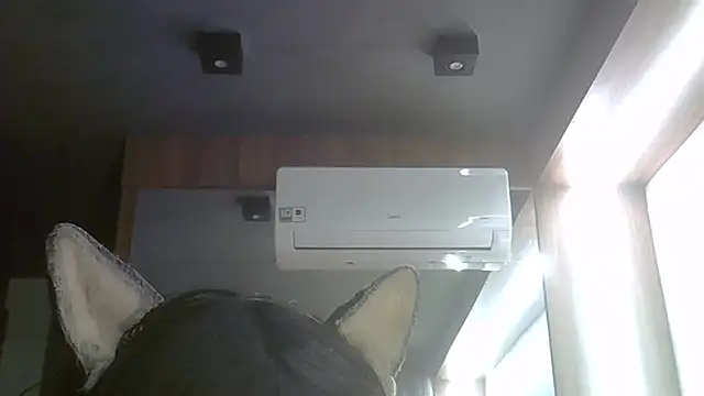 SkinnyKitten webcam