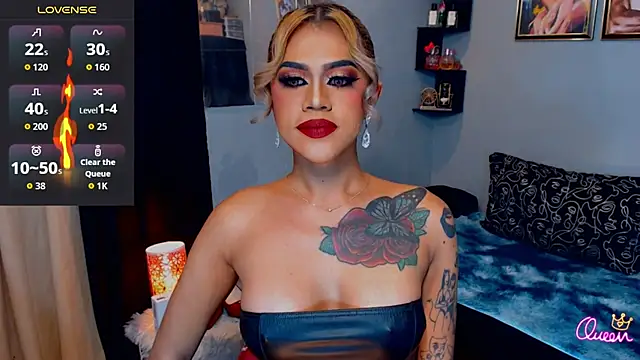 StellaStrong30 webcam