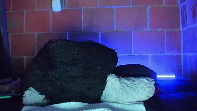 Cata-angel live cam on StripChat