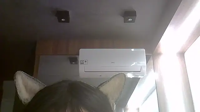 SkinnyKitten webcam