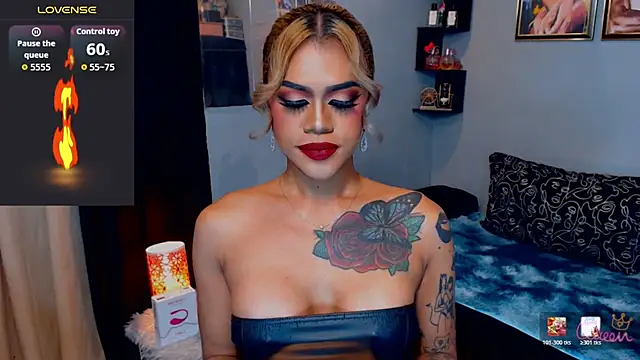 StellaStrong30 webcam