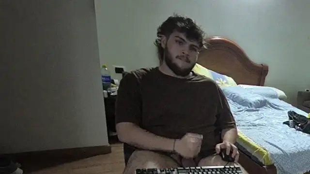lipzard webcam
