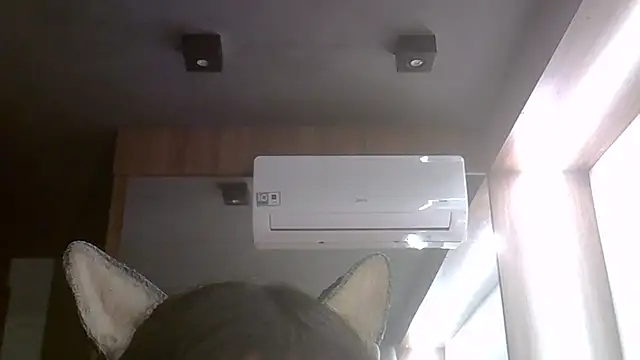 SkinnyKitten webcam