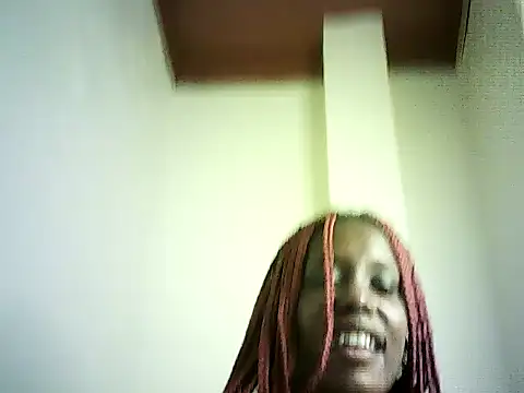 DelteAfriq webcam