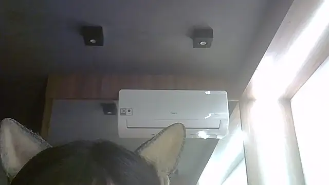 SkinnyKitten webcam