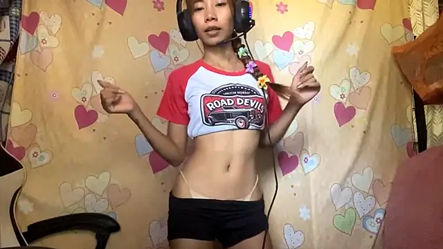 PiaSwida webcam