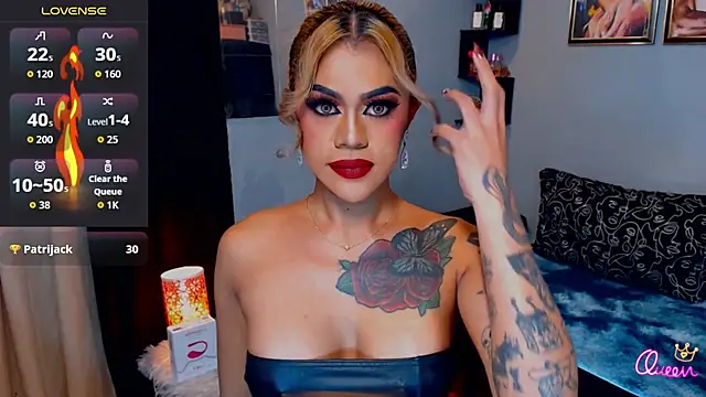 StellaStrong30 webcam