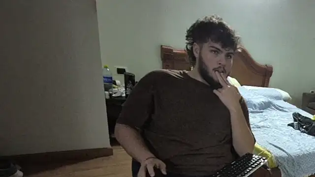 lipzard webcam