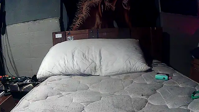 jaxx12369 webcam