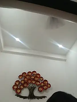 hottydisha webcam