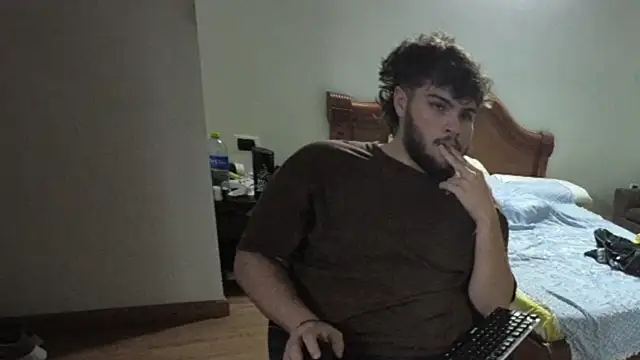 lipzard webcam